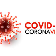 Business resilience during the coronavirus period / Dr. Melika MolkAra