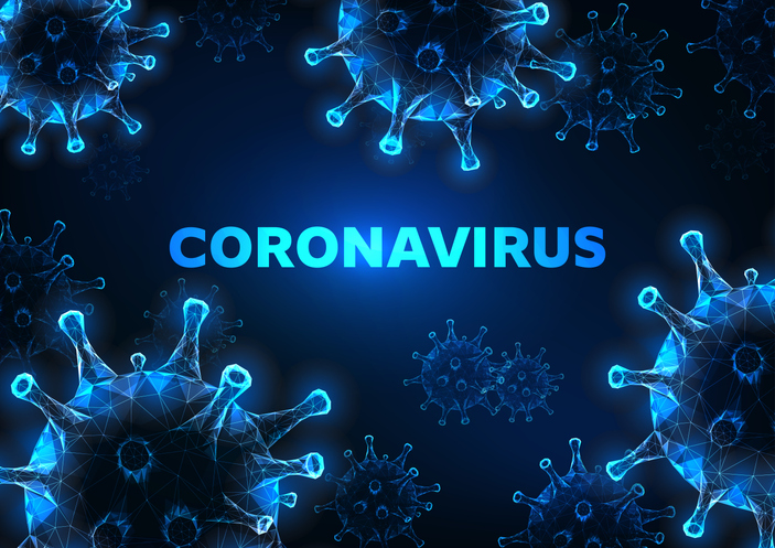 Access to Success in the Face of the Coronavirus Pandemic / Dr. Melika MolkAra