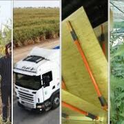 مدیرعامل شرکت توسعه نیشکر و صنایع جانبی خبر داد: جابجایی بیش از یک میلیون تُن کالا با ناوگان ایمن ترابر نیشکر