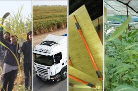 مدیرعامل شرکت توسعه نیشکر و صنایع جانبی خبر داد: جابجایی بیش از یک میلیون تُن کالا با ناوگان ایمن ترابر نیشکر