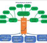 بلوغ سازمانی پتروشیمی مارون و حرکت بسوی قله های رفیع تعالی/ توليد اكريلونيتريل با روش سوهیو(Sohio)