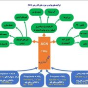 بلوغ سازمانی پتروشیمی مارون و حرکت بسوی قله های رفیع تعالی/ توليد اكريلونيتريل با روش سوهیو(Sohio)