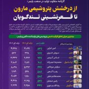 کارنامه متفاوت تولید در صنعت پلیمر/از درخشش پتروشیمی مارون تا قعرنشینی تندگویان