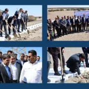 حراکاری مدیر عامل شرکت ملی صنایع پتروشیمی از پروژه عظیم  مارون