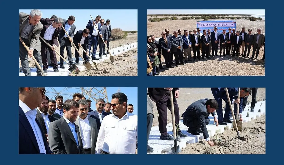 حراکاری مدیر عامل شرکت ملی صنایع پتروشیمی از پروژه عظیم  مارون