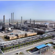 بررسی عملکرد فروش یک ساله  مارون