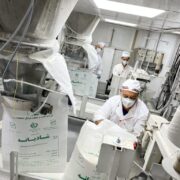 تولید بیش از ۷۲۱ هزار تن شکر سفید در توسعه نیشکر