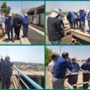 بازدید مدیرعامل شرکت توسعه نیشکر از مزارع و ایستگاه‌های پمپاژ آب در کشت و صنعت‌های جنوبی / روند عملیات «داشت» نیشکر در سال زراعی جاری بررسی شد