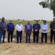 بازدید معاون کشاورزی شرکت توسعه نیشکر و صنایع جانبی از مزارع درگیر تنش‌آبی شرکت کشت و صنعت نیشکر هفت‌تپه