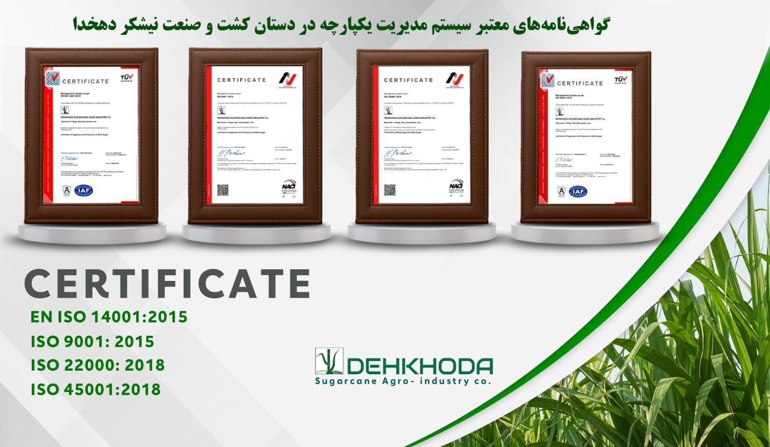 دستیابی شرکت کشت و صنعت نیشکر دهخدا به استانداردهای بین المللی