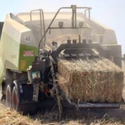 مدیریت بهینه بقایای نیشکر؛ رویکردی راهبردی برای تحقق توسعه پایدار