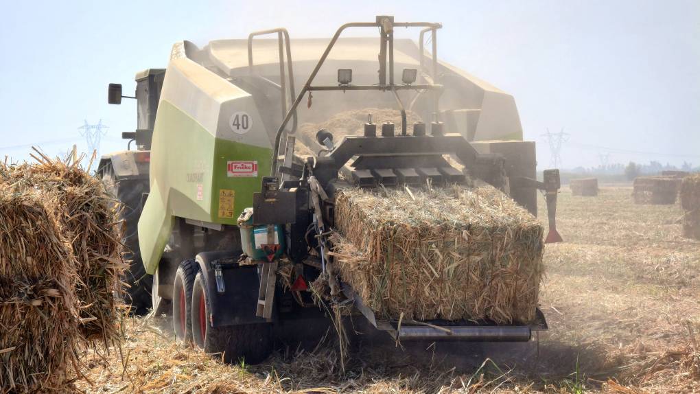 مدیریت بهینه بقایای نیشکر؛ رویکردی راهبردی برای تحقق توسعه پایدار