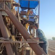 آغاز فصل نوین در کشت نیشکر با ورود دستگاه پلنتر به هفت‌تپه با حمایت‌های مدیرعامل این شرکت