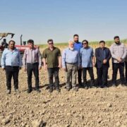 مشارکت فعال هفت‌تپه در تولید محصولات غیرنیشکری و تأمین امنیت غذایی بازار با وجود معضلات کم‌آبی؛ بازدید میدانی مدیرعامل شرکت نیشکر هفت‌تپه از آغاز کشت کلزا در مزارع این شرکت