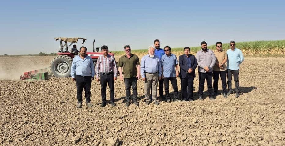 مشارکت فعال هفت‌تپه در تولید محصولات غیرنیشکری و تأمین امنیت غذایی بازار با وجود معضلات کم‌آبی؛ بازدید میدانی مدیرعامل شرکت نیشکر هفت‌تپه از آغاز کشت کلزا در مزارع این شرکت