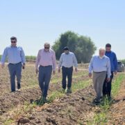 بازدید میدانی معاون کشاورزی شرکت توسعه نیشکر و صنایع جانبی از مزارع شرکت کشت و صنعت نیشکر هفت‌تپه