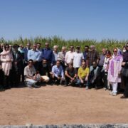 خوزستان میزبان هنرمندان در سومین شکرستان ادبی شد شاعران و داستان‌ نویسان از نیشکر فارابی بازدید کردند