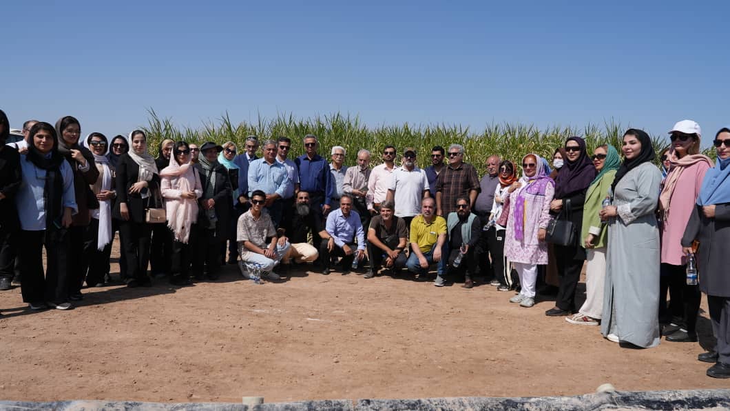 خوزستان میزبان هنرمندان در سومین شکرستان ادبی شد شاعران و داستان‌ نویسان از نیشکر فارابی بازدید کردند