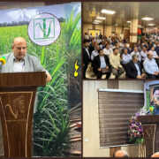 قدردانی مدیرعامل توسعه نیشکر از کارکنان  «لوح سبز جنوب» افتخار صنعت کشور است