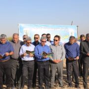 برداشت نیشکر در کشت و صنعت امیرکبیر با هدف تولید ۵۵۰ هزار تن نیشکر