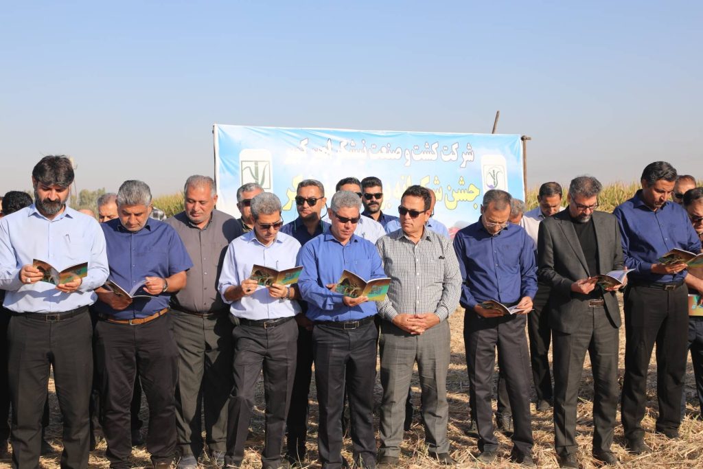 برداشت نیشکر در کشت و صنعت امیرکبیر با هدف تولید ۵۵۰ هزار تن نیشکر