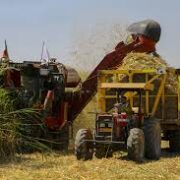 برداشت نیشکر از ابتدای فصل جاری به‌طور کامل و صد درصد به روش سبز انجام شده است