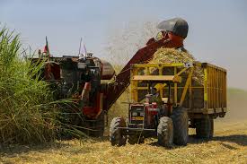 برداشت نیشکر از ابتدای فصل جاری به‌طور کامل و صد درصد به روش سبز انجام شده است