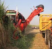 برداشت نیشکر از ابتدای فصل، ۱۰۰ درصد سبز انجام شده است