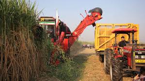 برداشت نیشکر از ابتدای فصل، ۱۰۰ درصد سبز انجام شده است