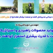 بازدید میدانی مدیرعامل کشت و صنعت نیشکر هفت‌تپه از مزارع کلزا و گندم/ مهندس دورباشی‌زاده: تولید محصولات راهبردی و استراتژیک شرکت با قدرت بیشتری استمرار خواهند یافت